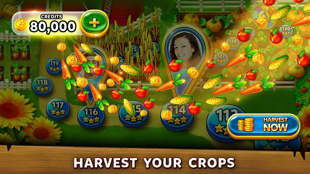 Afbeelding van Grand Solitaire Harvest crops